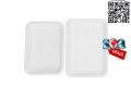 lunch-tray-disposable-tray-bagasse-tray-take-away-tray-small-5