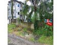 plot-of-land-on-sale-in-limbe-small-0