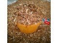 crayfish-dried-fish-and-snails-for-sale-small-0